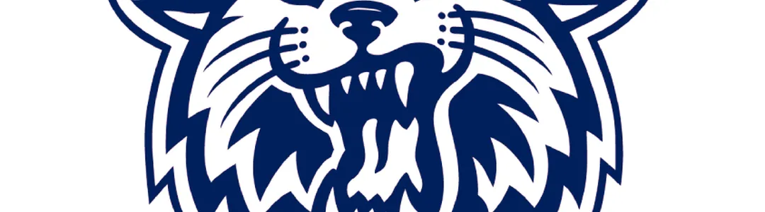 Villanova Wildcats