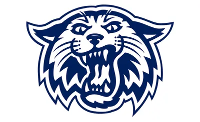 Villanova Wildcats